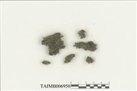 藏品(碎米苔屬)的圖片